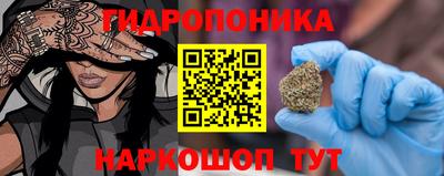 спиды Аргун