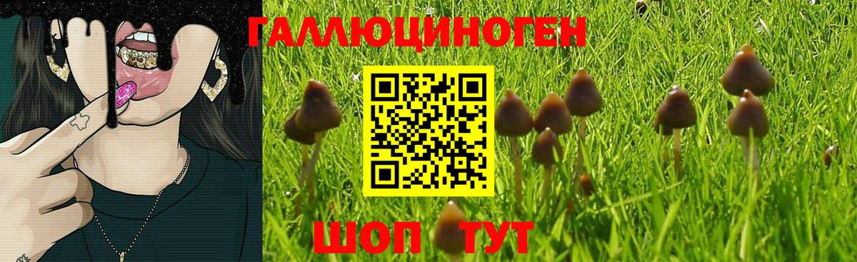 Галлюциногенные грибы Cubensis  Галлюциногенные грибы Psilocybe  Апрелевка  Вход с VPN 